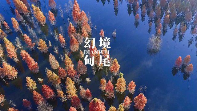 超黄金街霸2