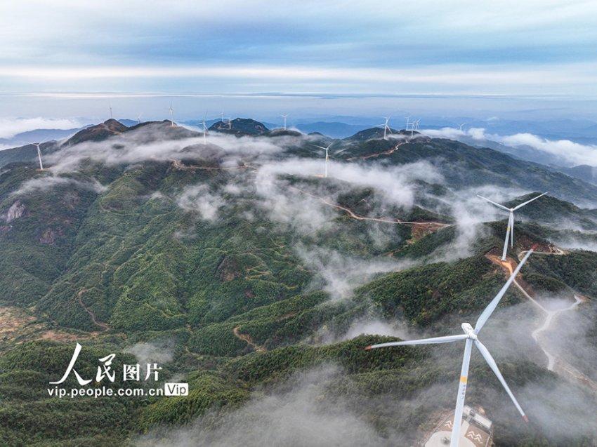 点了“10头鲍”，却只上了6个鲍鱼，顾客给差评！店家：她不会吃
