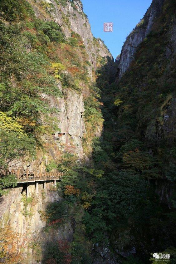 去屑止痒哪款洗发水好?去屑保湿止痒洗发水推荐