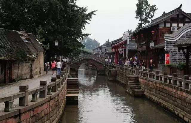 救援瓢虫宝宝