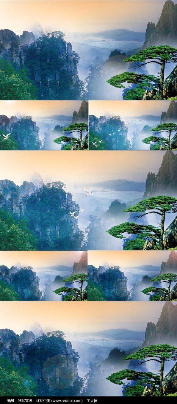 你还在相信“退保维权”吗?其实这样才能更好地维护自己的权益